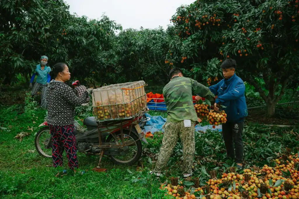 起重配件吊钩选型对比：不同工况下的适用性与可靠性分析
